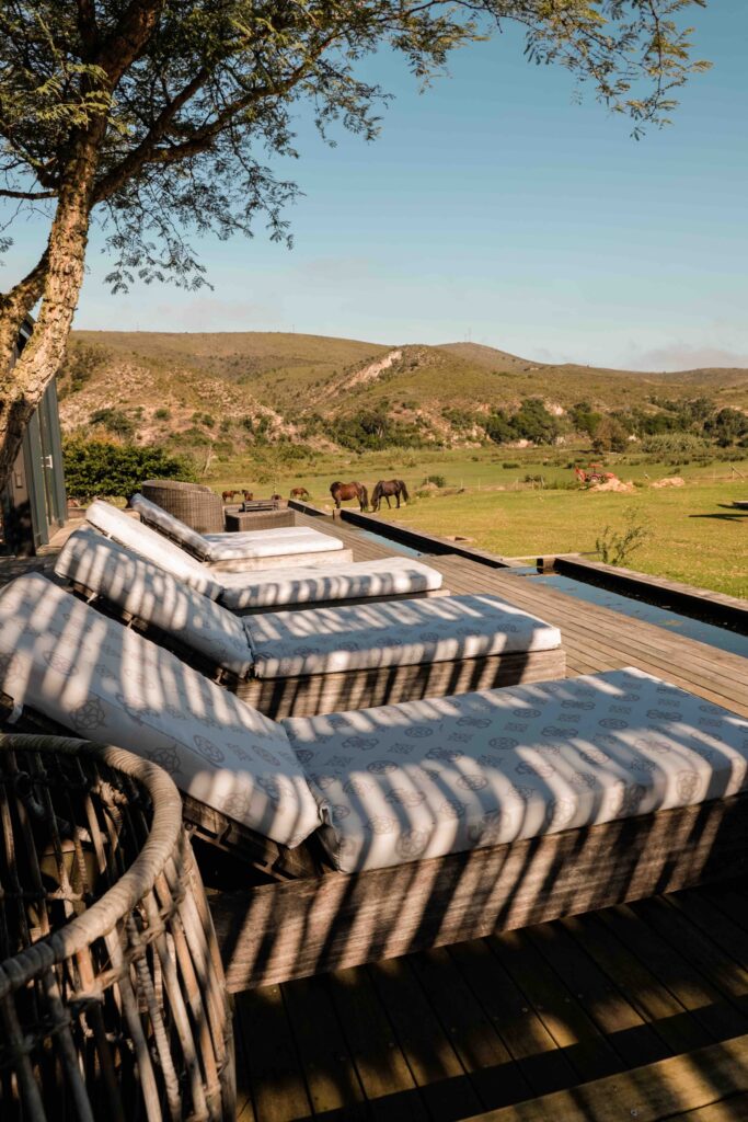 GUESS Home装饰南非Botlierskop保护区住宿区-12