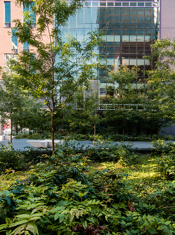 魁北克水文公园-13