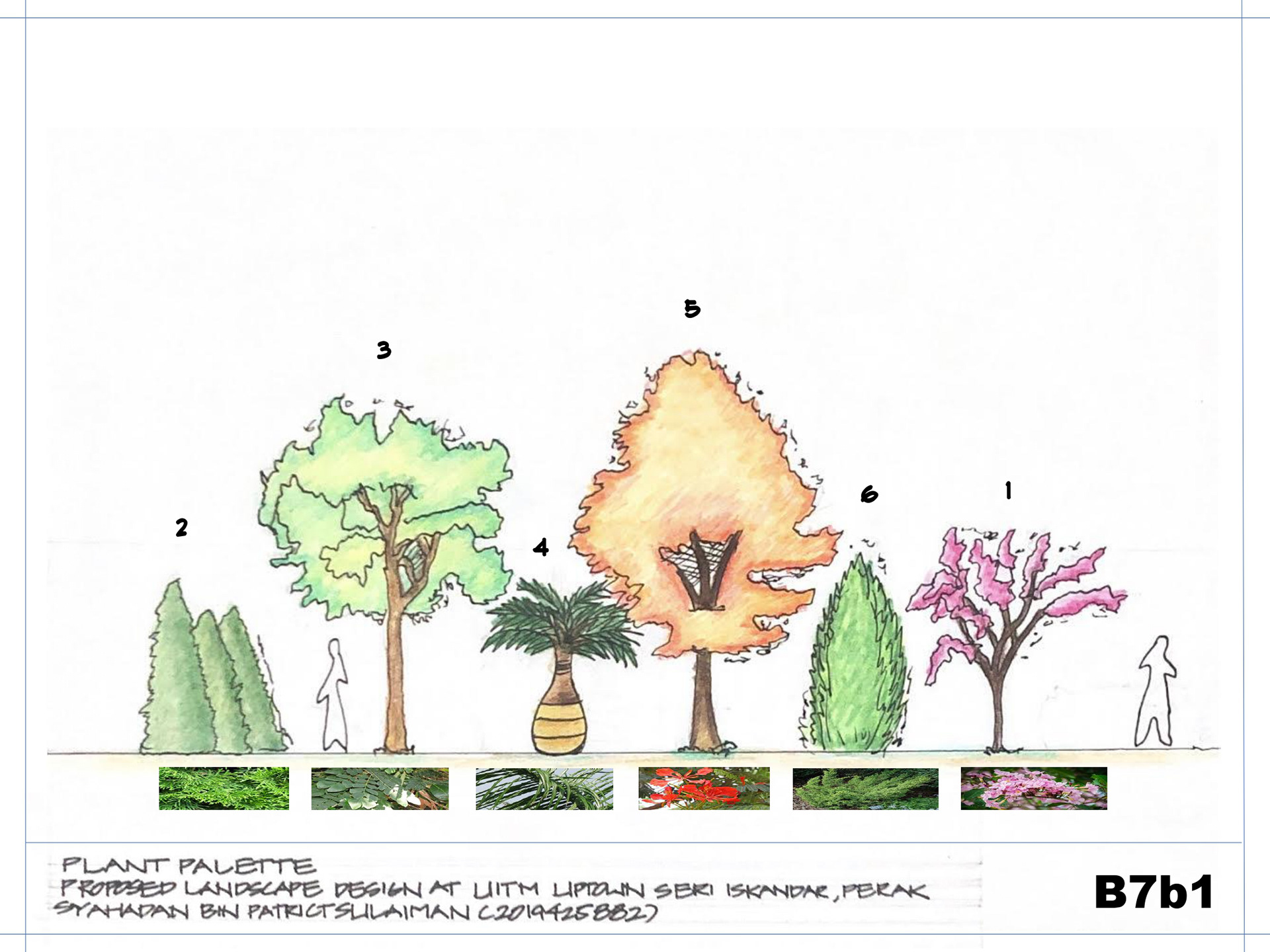 SITE DESIGN PROCESS-4