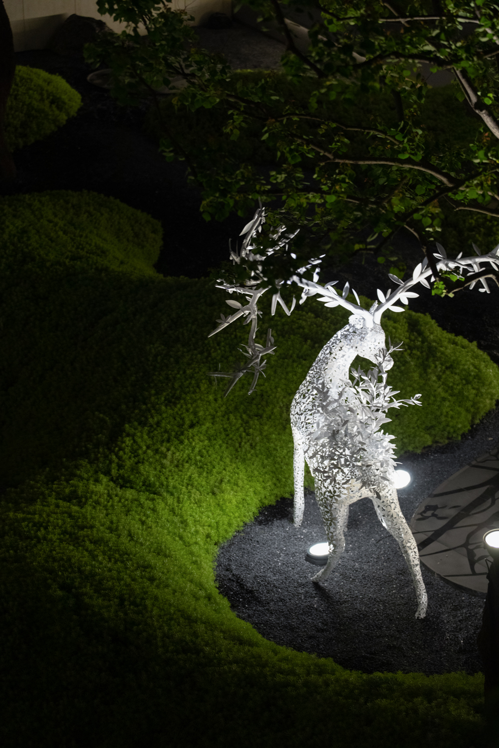 香港置地卓越集团·林山郡-62