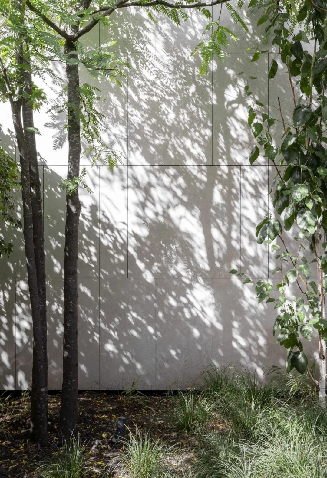 泳池房丨line architects-27