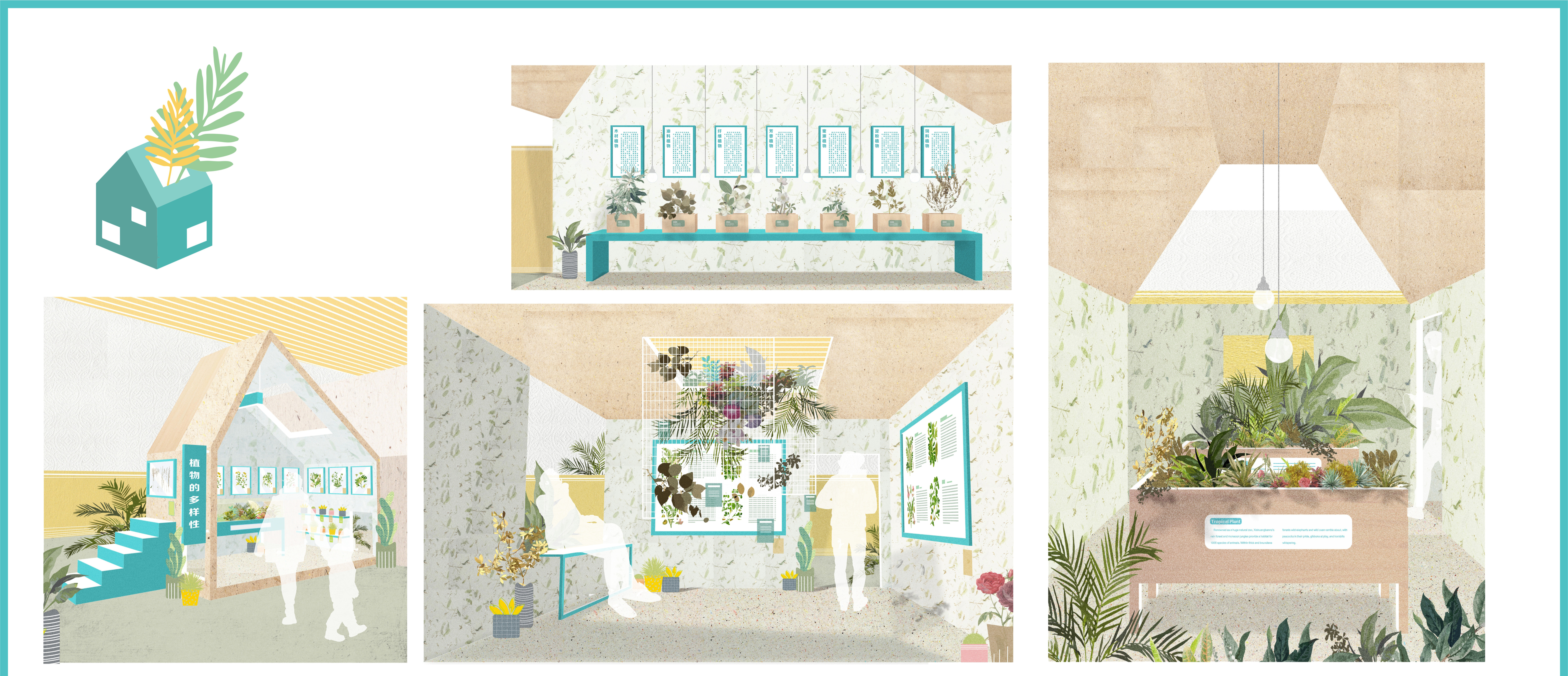植物的秘密—植物生活体验馆-4