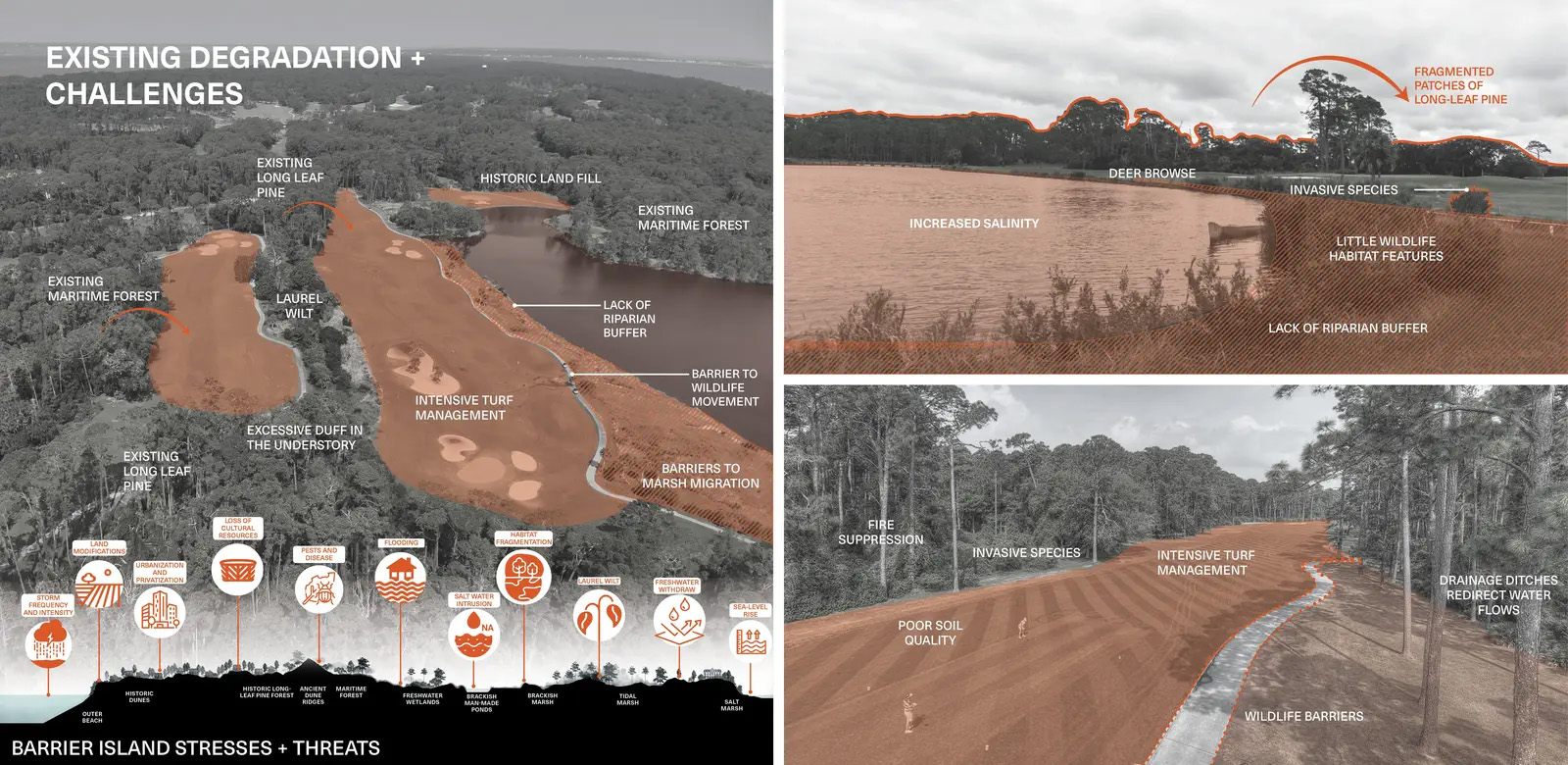 试验场:从高尔夫球场到屏障岛生态系统丨美国丨Design Workshop,Inc.-25