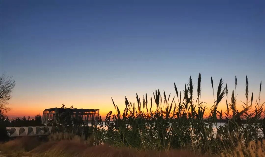 从功能至上到融入公共生活——南京江心洲排涝泵站-25