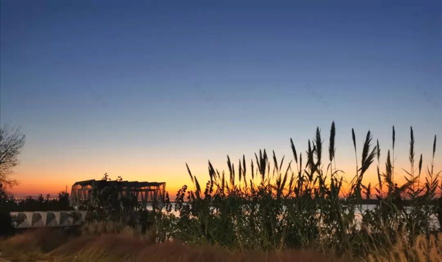 从功能至上到融入公共生活——南京江心洲排涝泵站-25