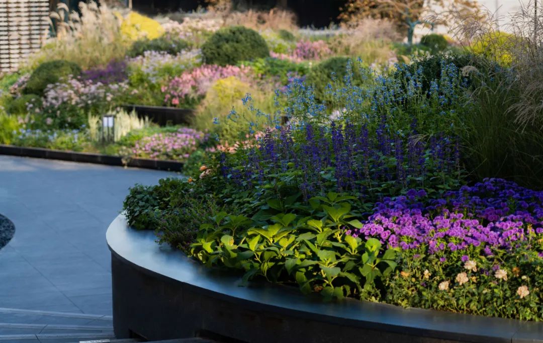 秋日里的设计之旅丨中国南京丨LAURENT 团队-42