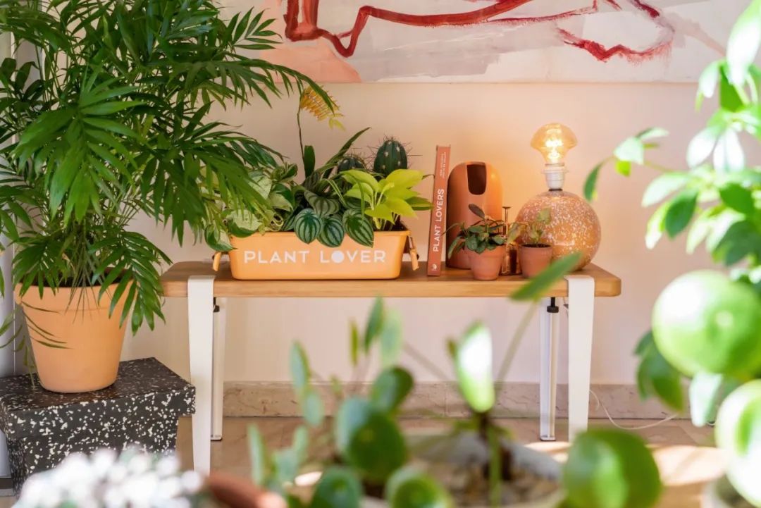 马卡龙色系的家丨法国丨Judith-95