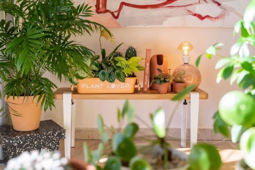 马卡龙色系的家丨法国丨Judith-95