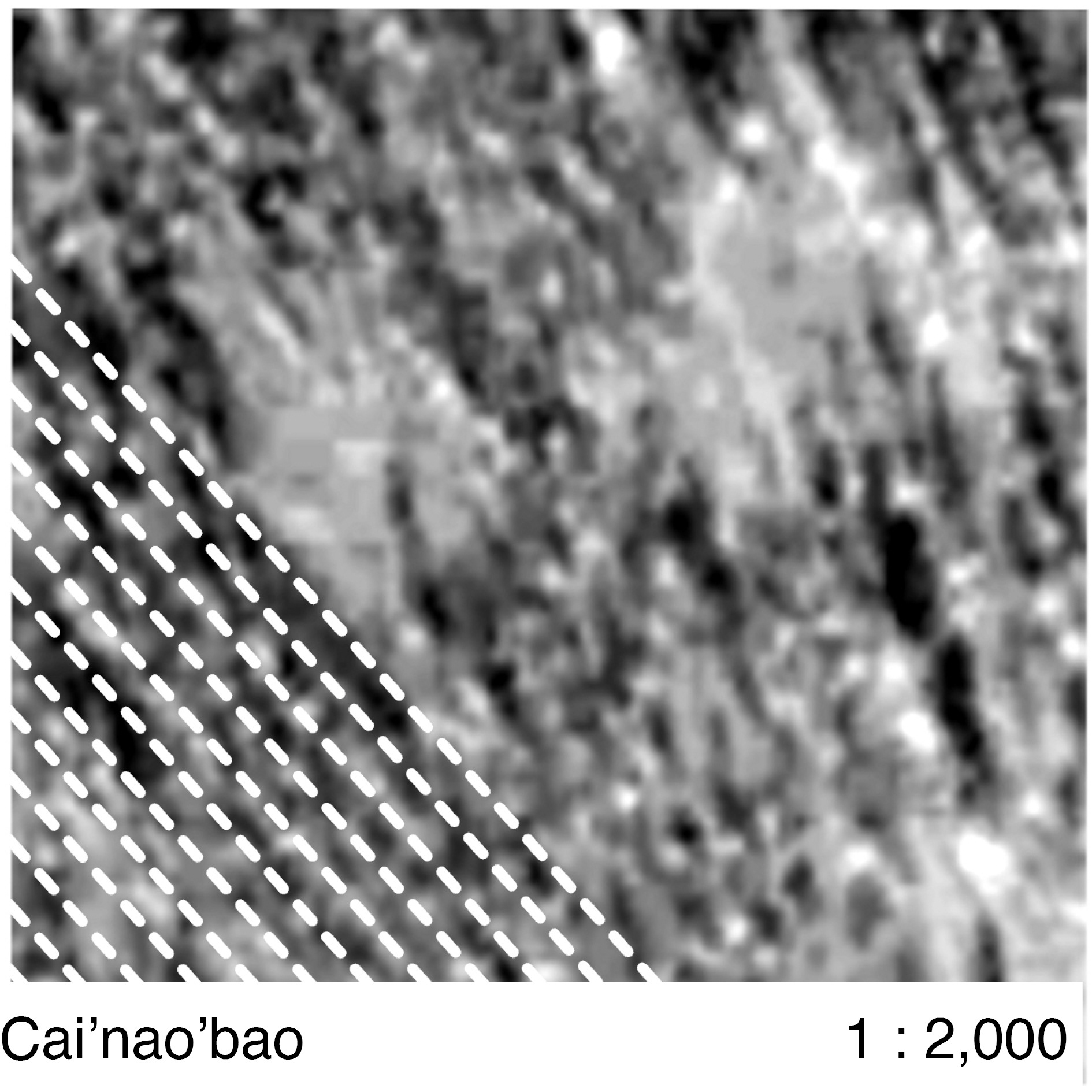 Debate on the 'Green': Shelterbelt Plantation-9