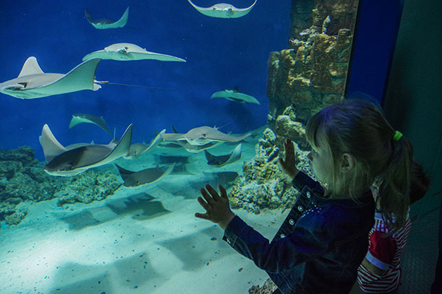 莫斯科海洋与生物中心“莫斯科水族馆”丨俄罗斯莫斯科丨Aqua Logo Engineering（暂译:水标工程公司）-5