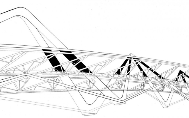 谢赫·扎耶德桥丨阿联酋阿布扎比丨扎哈·哈迪德(Zaha Hadid)-60