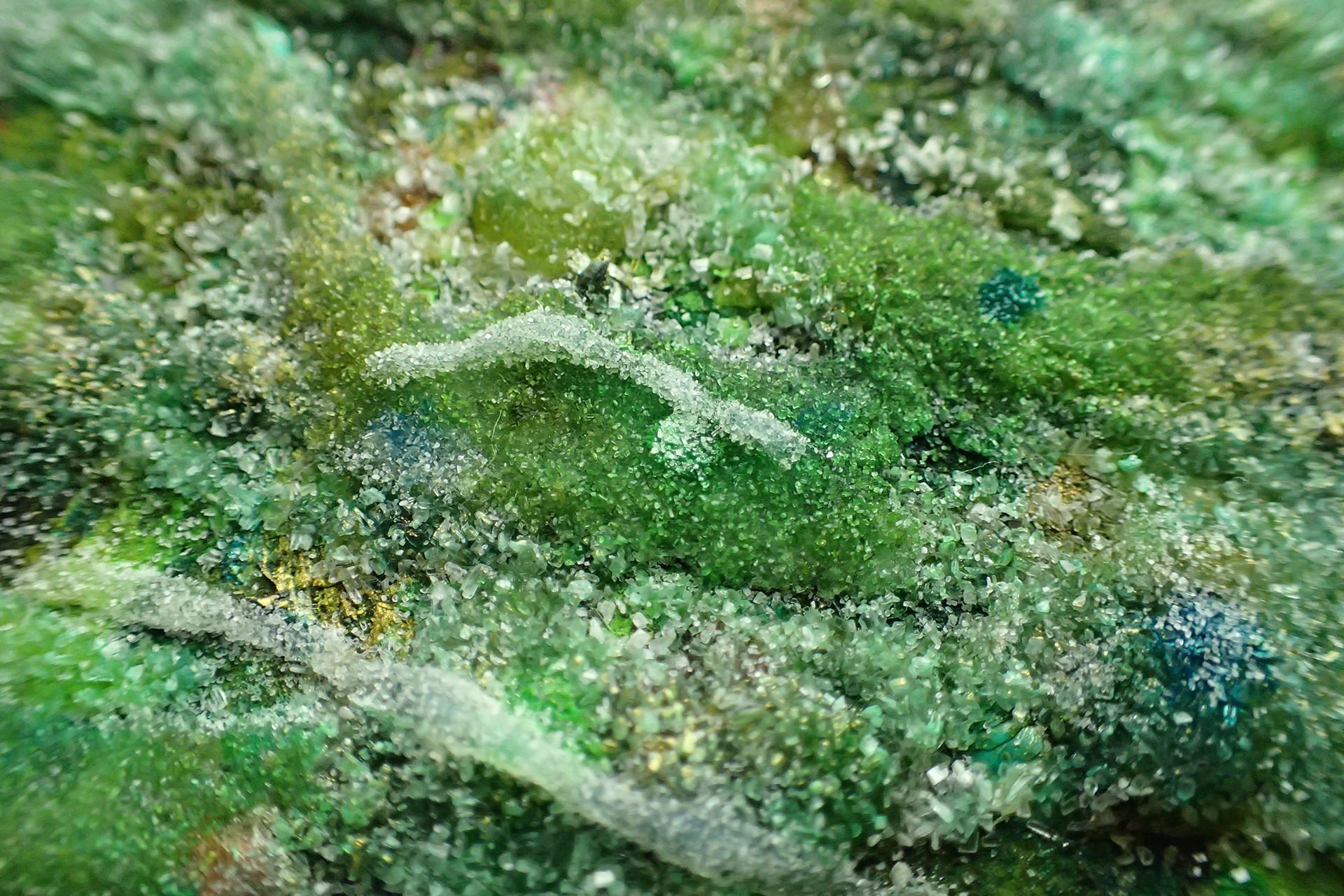 風のおくりもの４-17