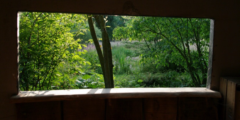 Grassentuin（草坪花园）等相关花园项目丨Chris Ghyselen（景观建筑师）-31