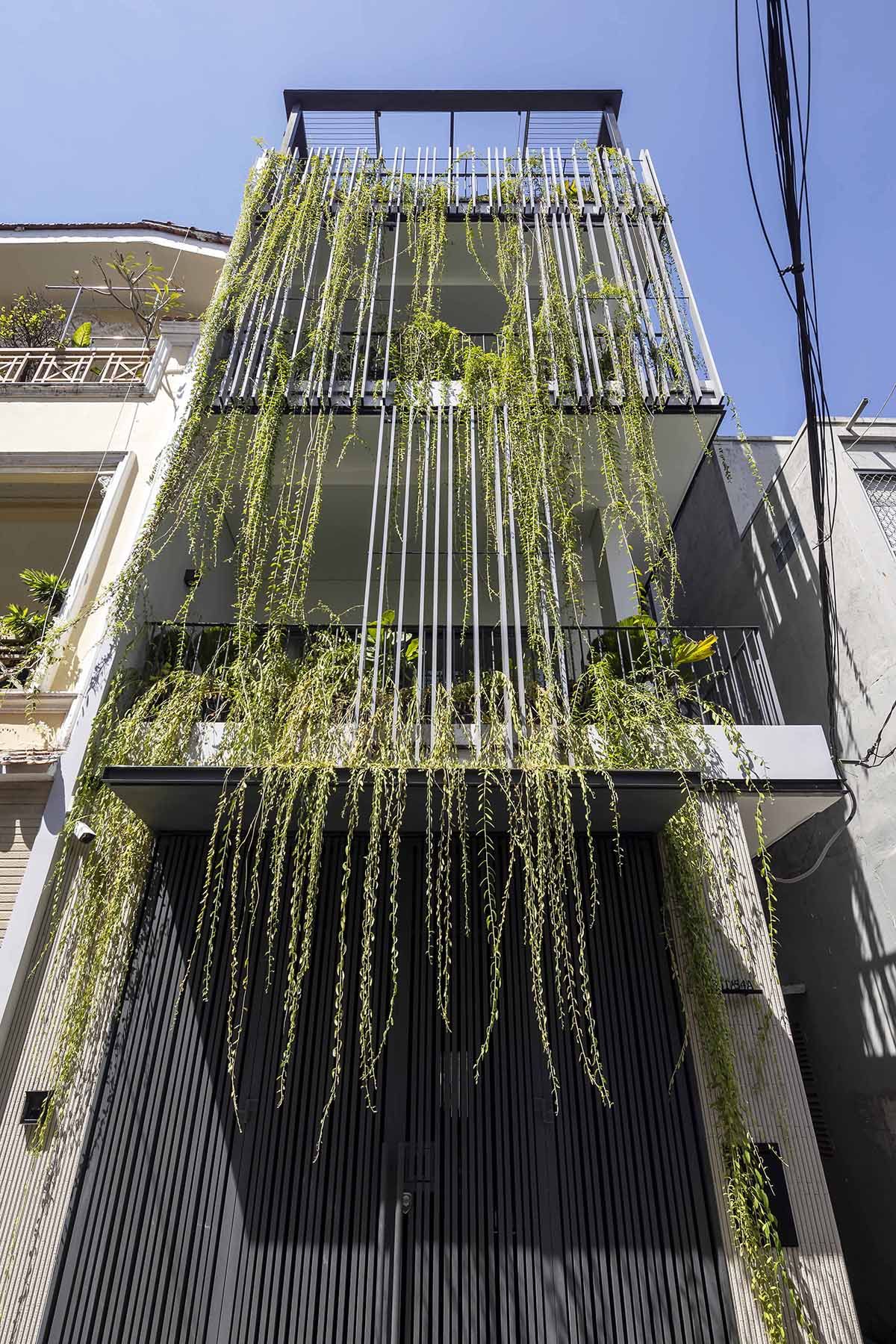 绿色连接的 Vy House-12