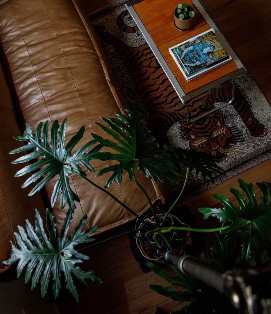 户外小夫妻的68㎡日杂风住宅-27