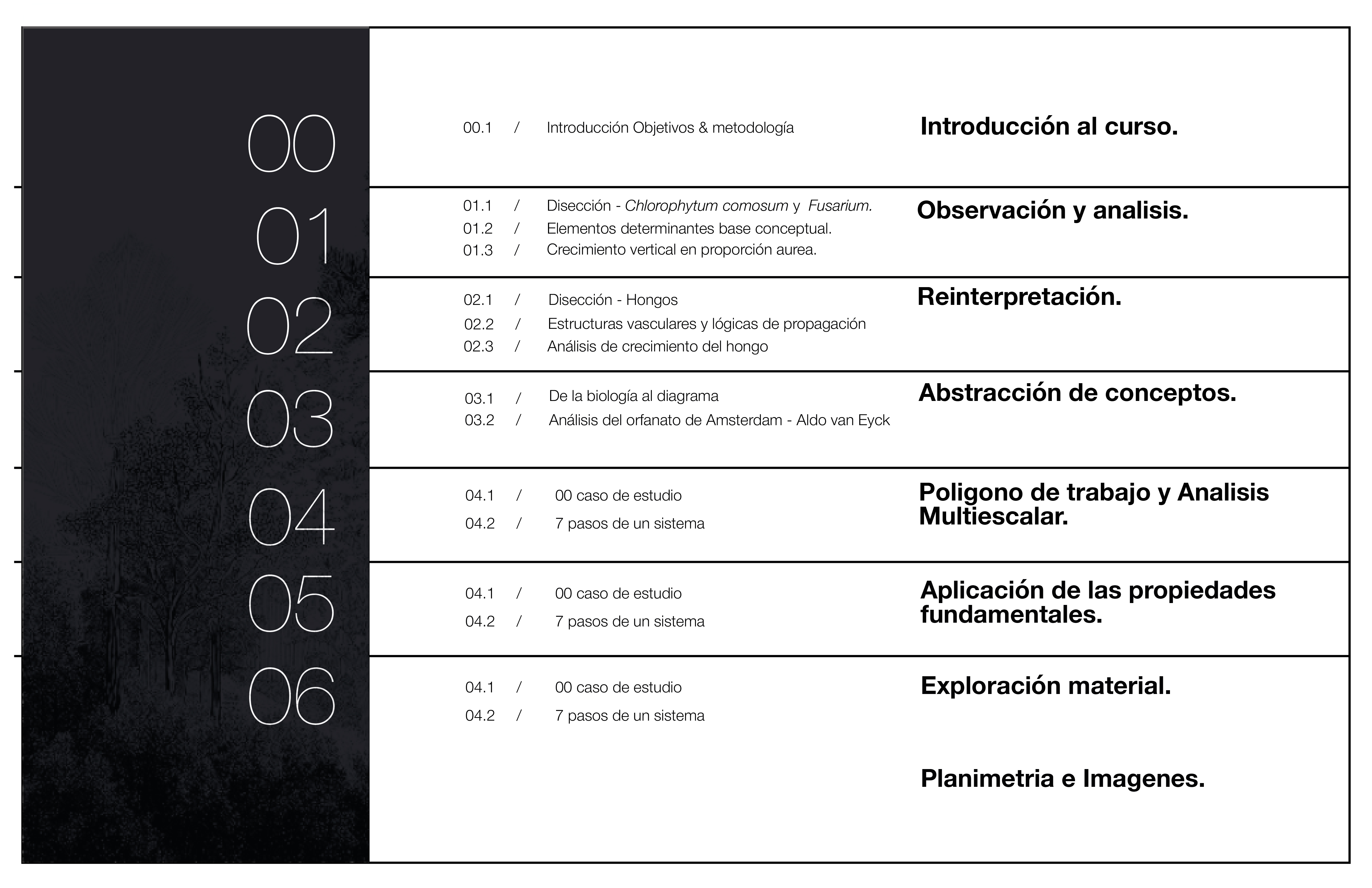 PROFUNDIZACIÓN MATERIA GENERATIVA Y FUTUROS AGREGADOS-1