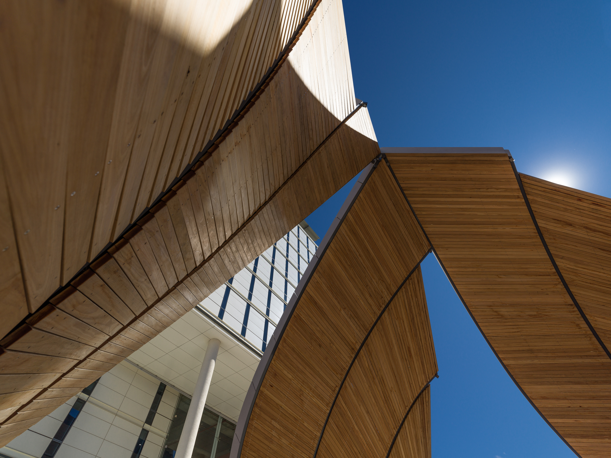 换乘站亭丨澳大利亚悉尼丨Studio Chris Fox-48