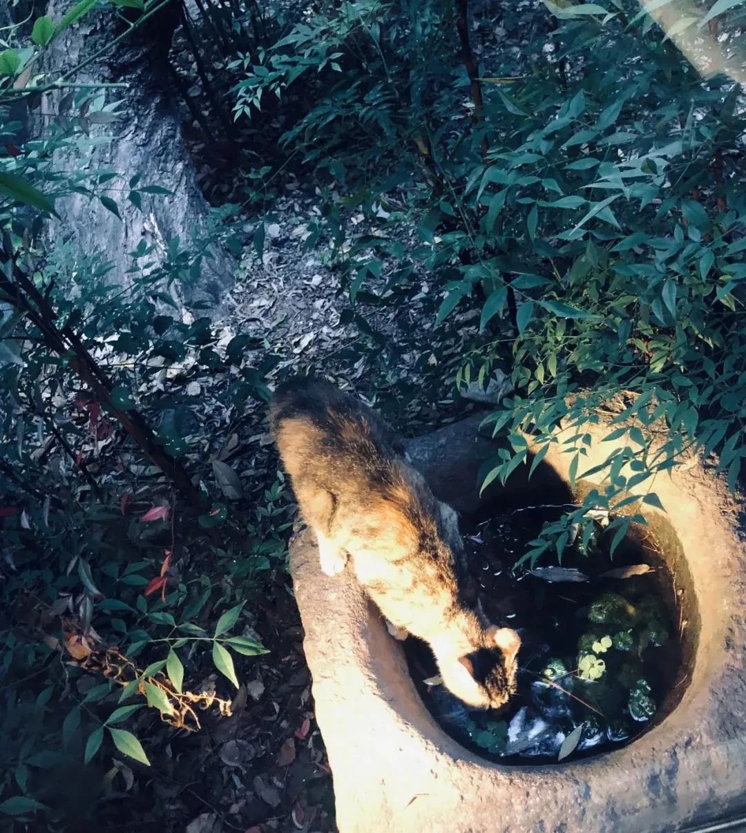 静·寻山水雅居,品禅意人生-4