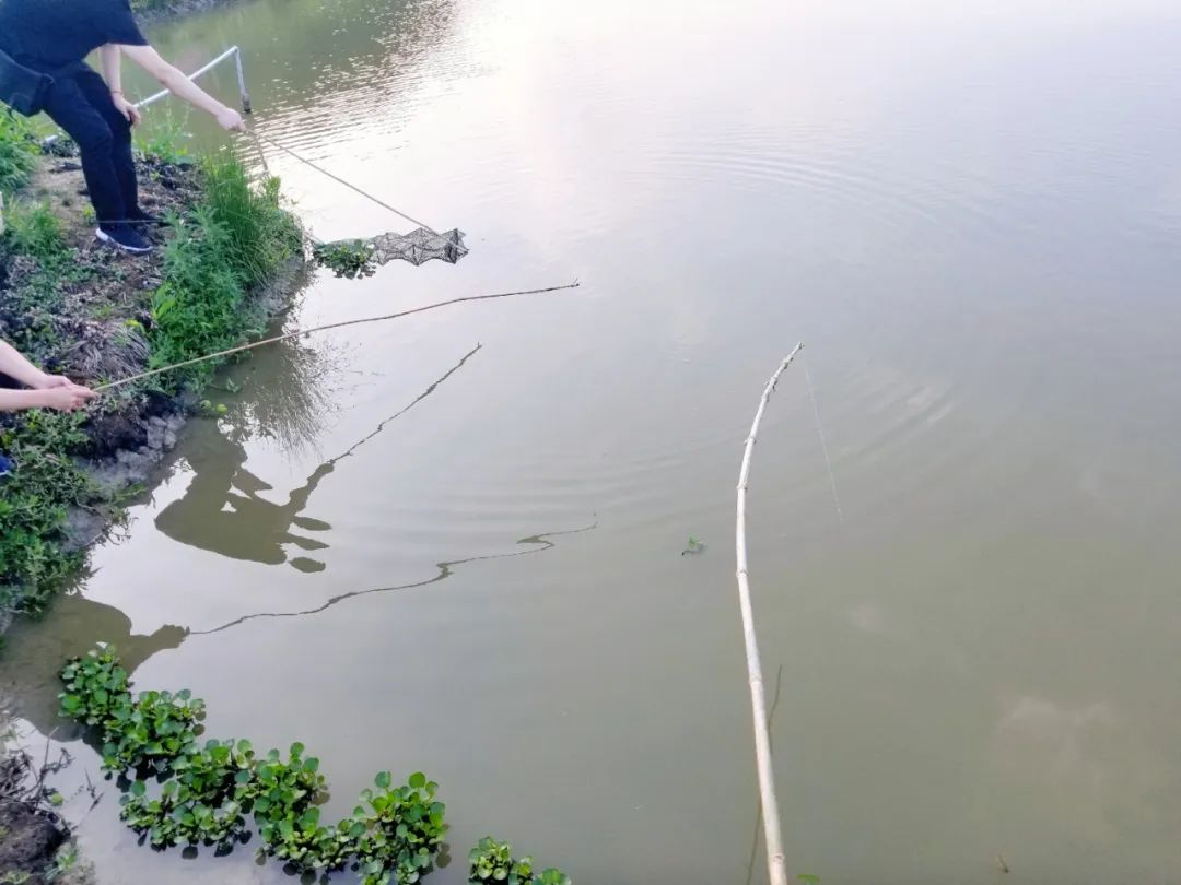 品东装饰户外团建活动 | 快乐工作,健康生活-12