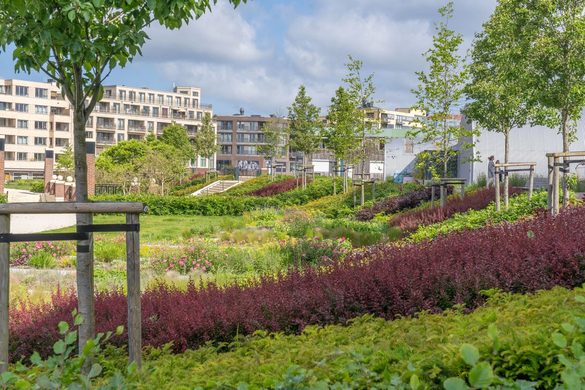 Plantsoen Hof van Boedapest 公园丨荷兰-7