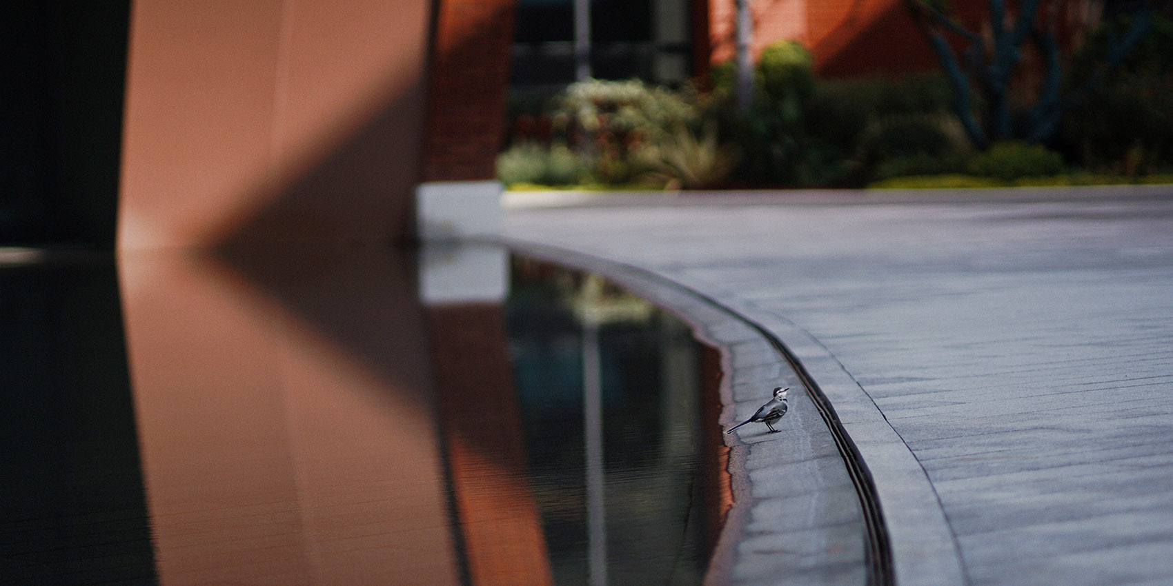 武汉贝赛思国际学校丨中国武汉丨筑博设计联合公设-63