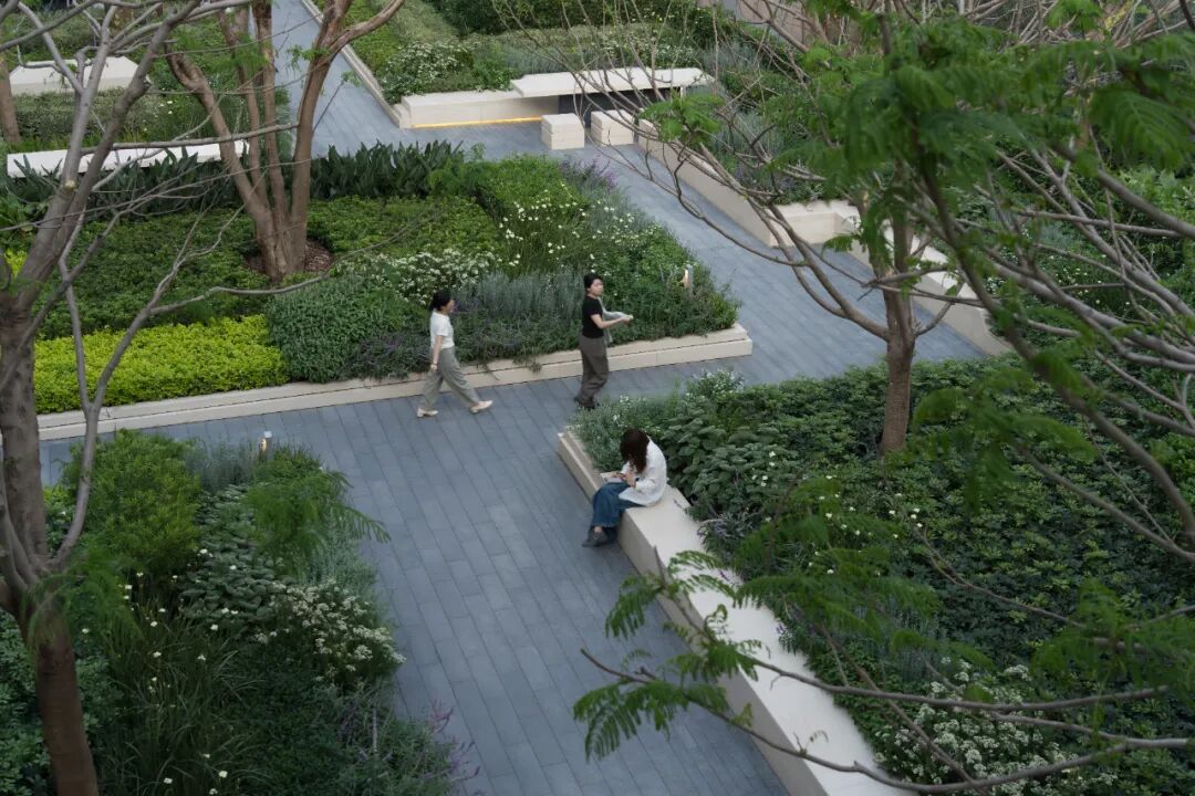 珠海华润银行总部丨海岸边的花园-16