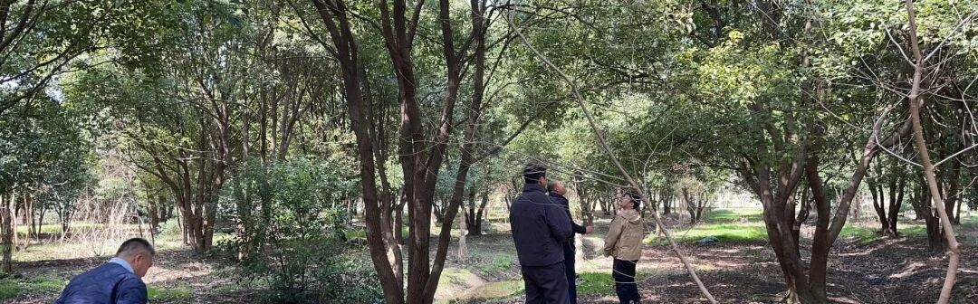 不被定义的优雅|上海康定壹拾玖-32