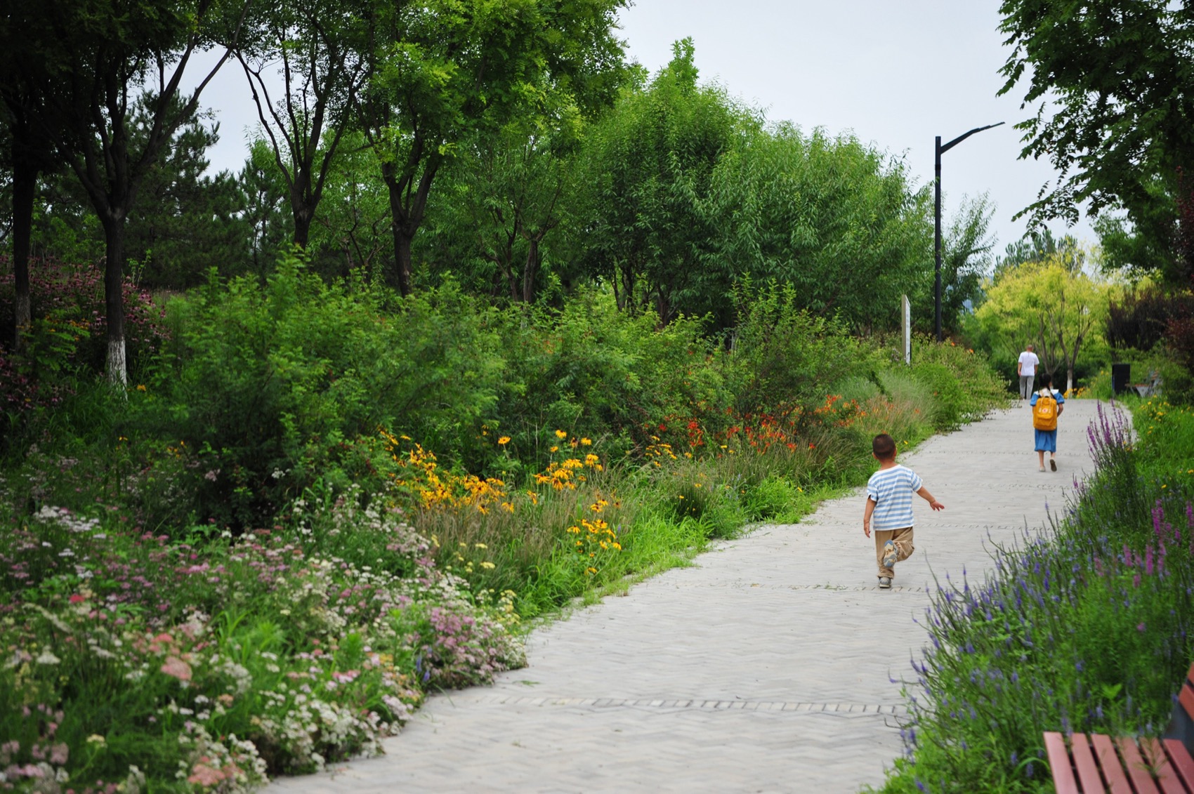 北京饮鹿池公园丨中国北京丨BLLA冯潇工作室,北京山水和泓风景园林设计院有限公司-46