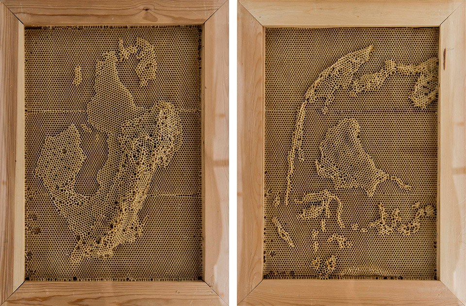 元塑系列作品 · 任日与蜜蜂的共生艺术-51