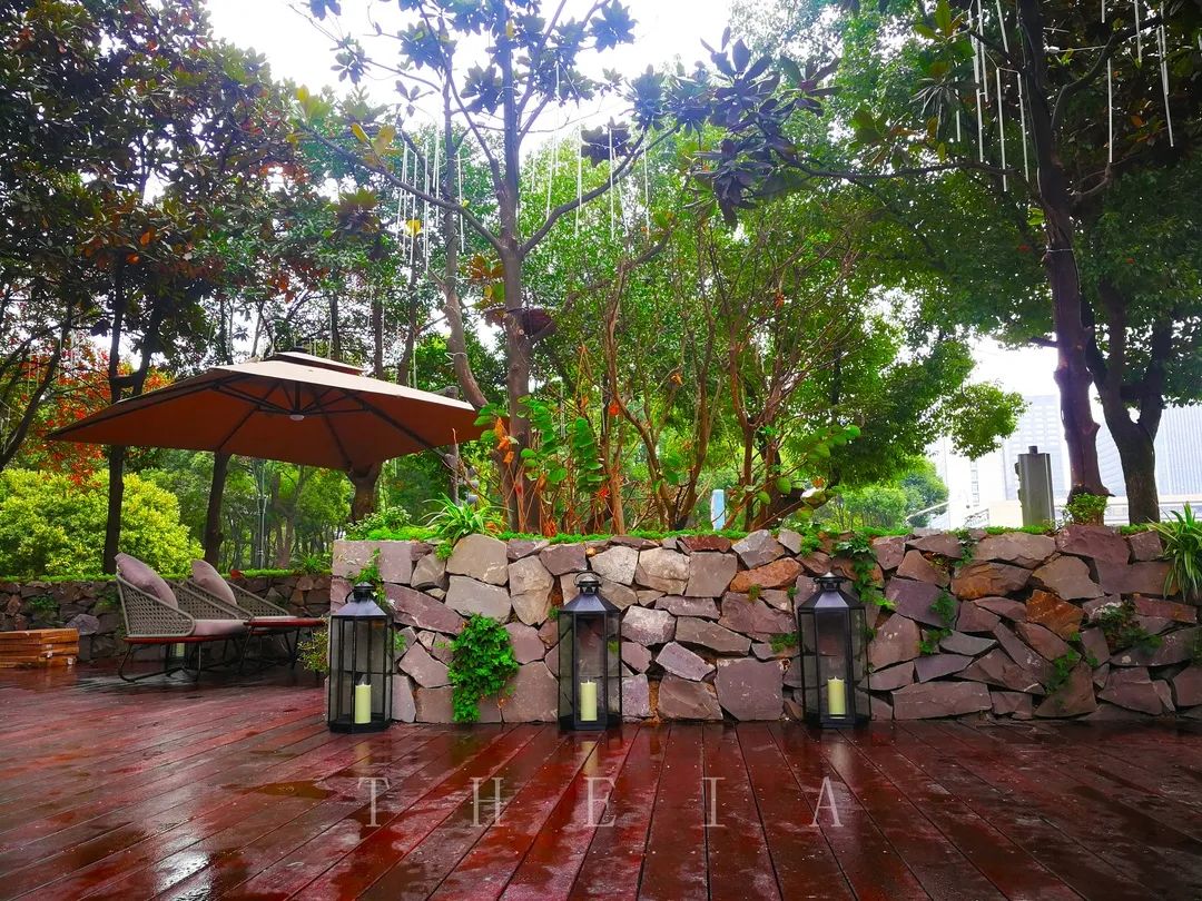 迪赛·东篱 | 闲田信步，采菊东篱-72