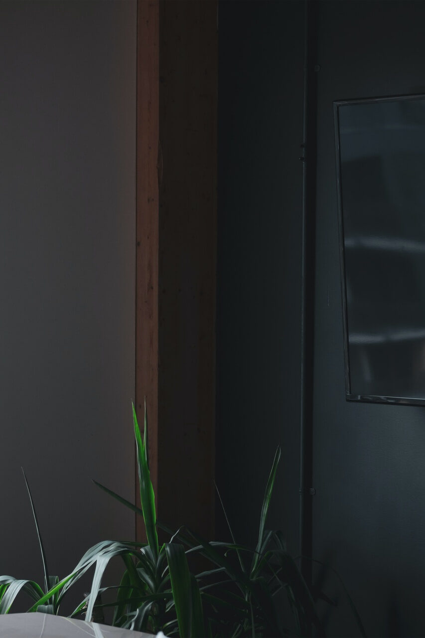 Czarna ściana - sprawdź pomysły na czarną ścianę w salonie i innych wnętrzach - PLN Design-3