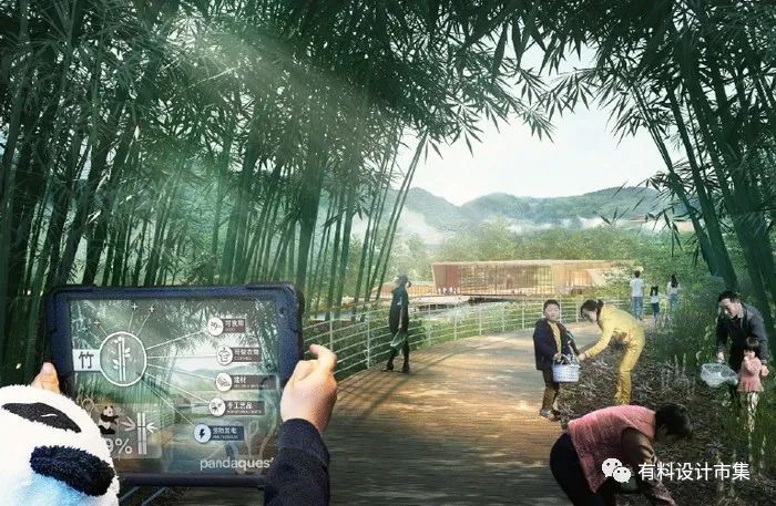 熊猫之都，萌动全球-13