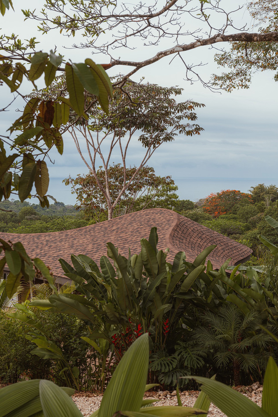 Ojo de Nila别墅丨哥斯达黎加蓬塔雷纳斯丨Studio Saxe-121