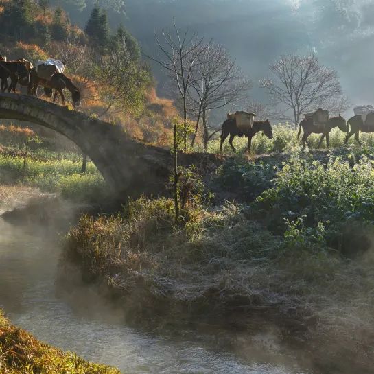 坐落千年古镇，横溪菜场改造升级，新中式田园风刷新菜场“高颜值”！-107