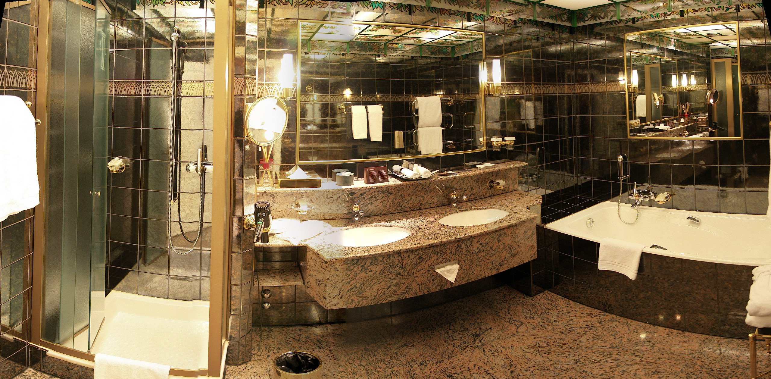 瑞士洛桑皇宫酒店及Spa中心-7