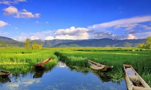 讲述 | 守护在“高原明珠”的绿色工匠-18