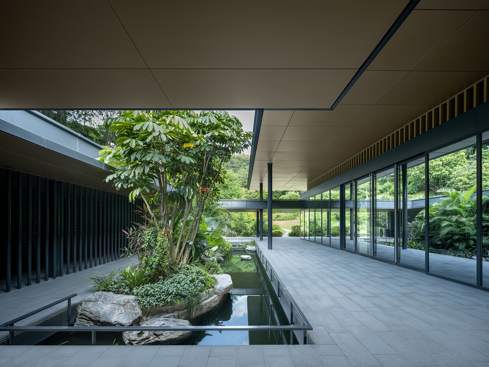 华南国家植物园云溪迁地保护示范区·自然教育馆丨华南理工大学建筑设计研究院有限公司等-55