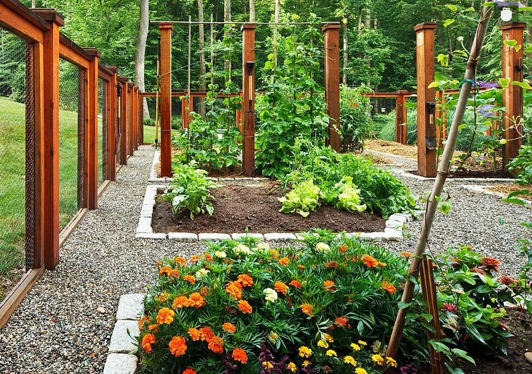 一楼带院子,这样设计美呆了!!!-18