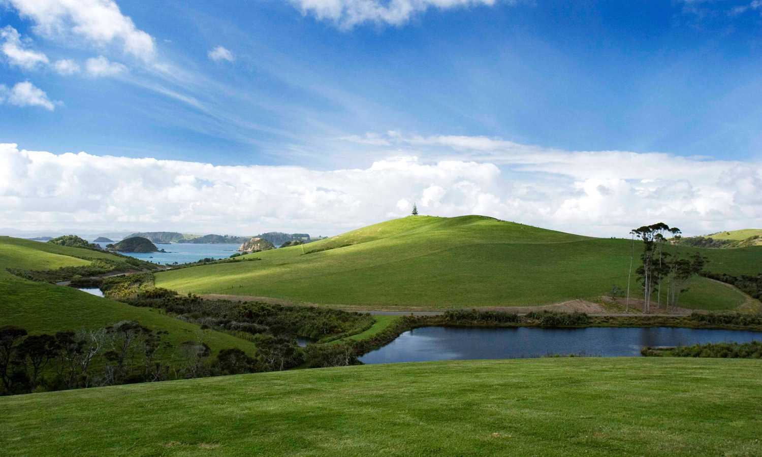 新西兰滨海绿地公园-7