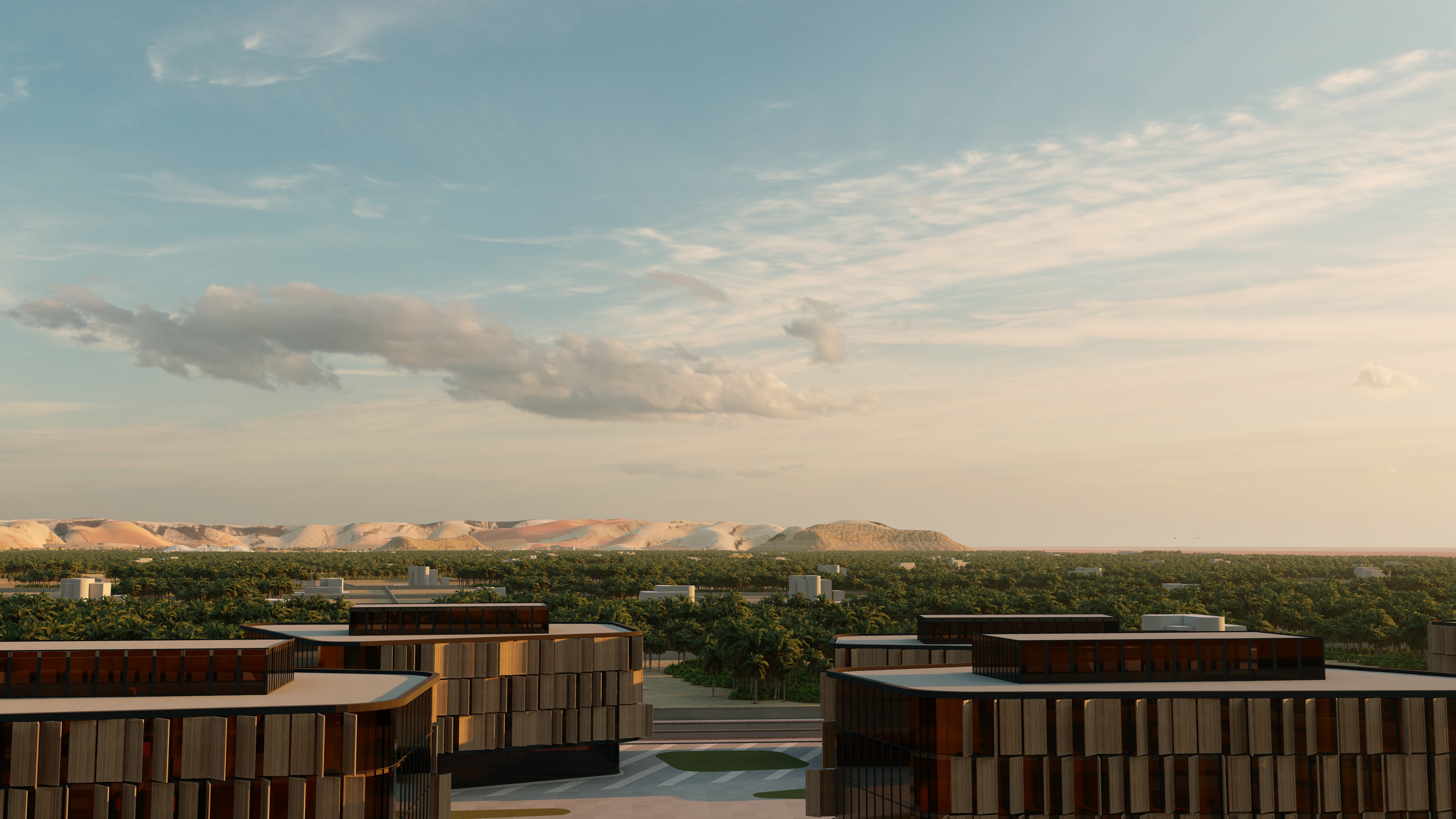 城市规划丨沙特阿拉伯利雅得丨Ray Consultants,Urban Dimensions-10