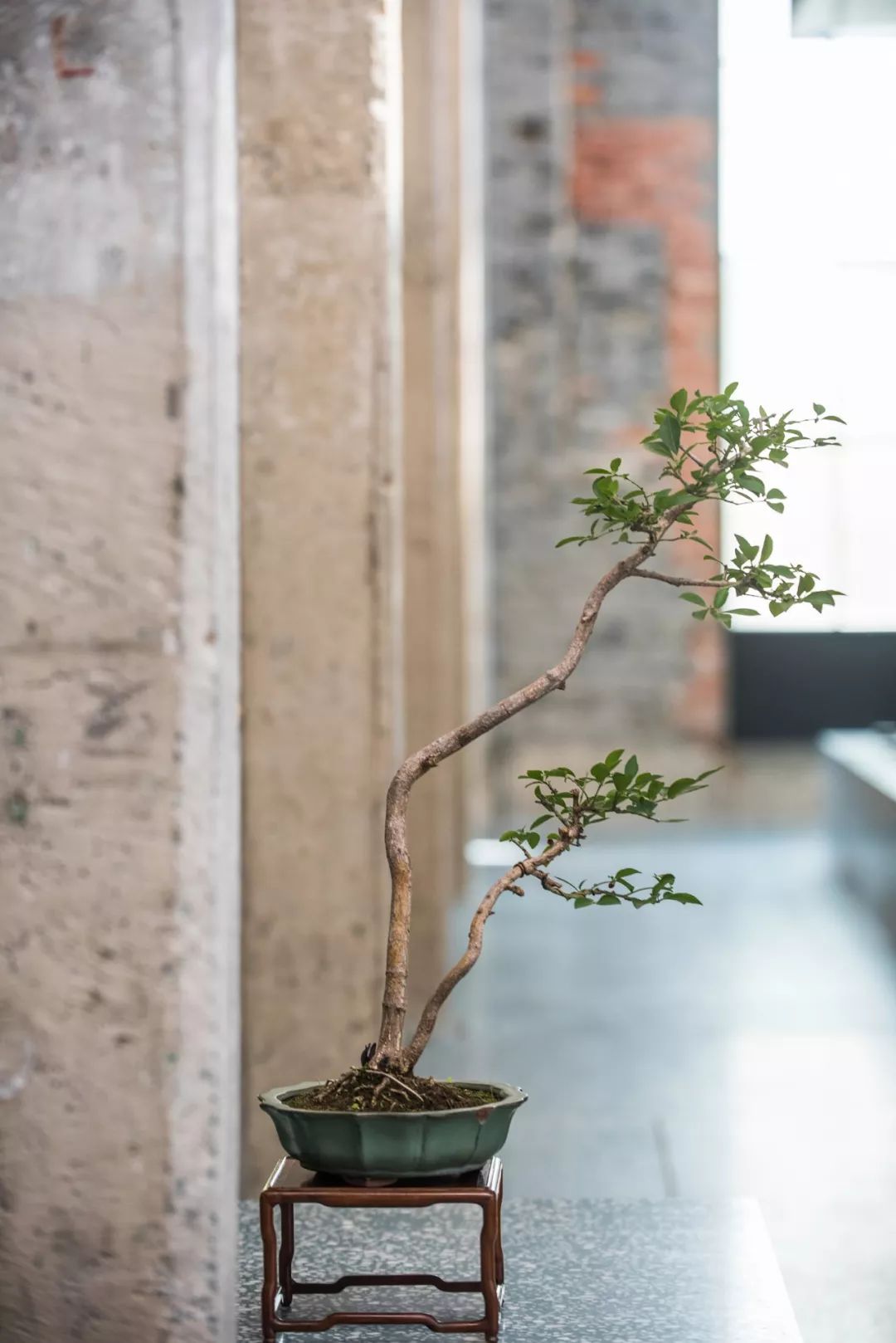 上海廷泰茶空间  Alex Mok   Briar Hickling-41