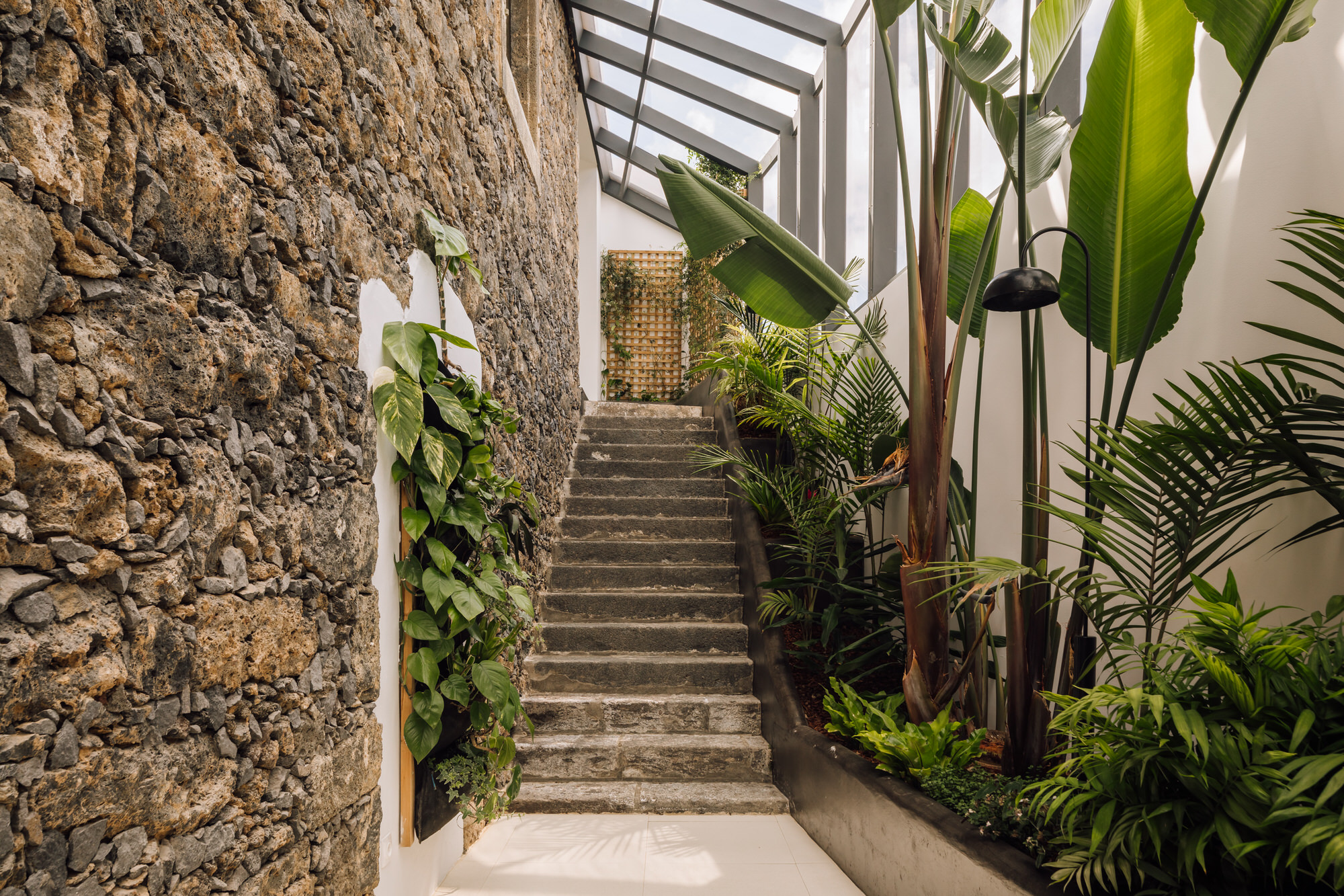 圣米格尔岛白色酒店丨葡萄牙丨Quiet Studios-14