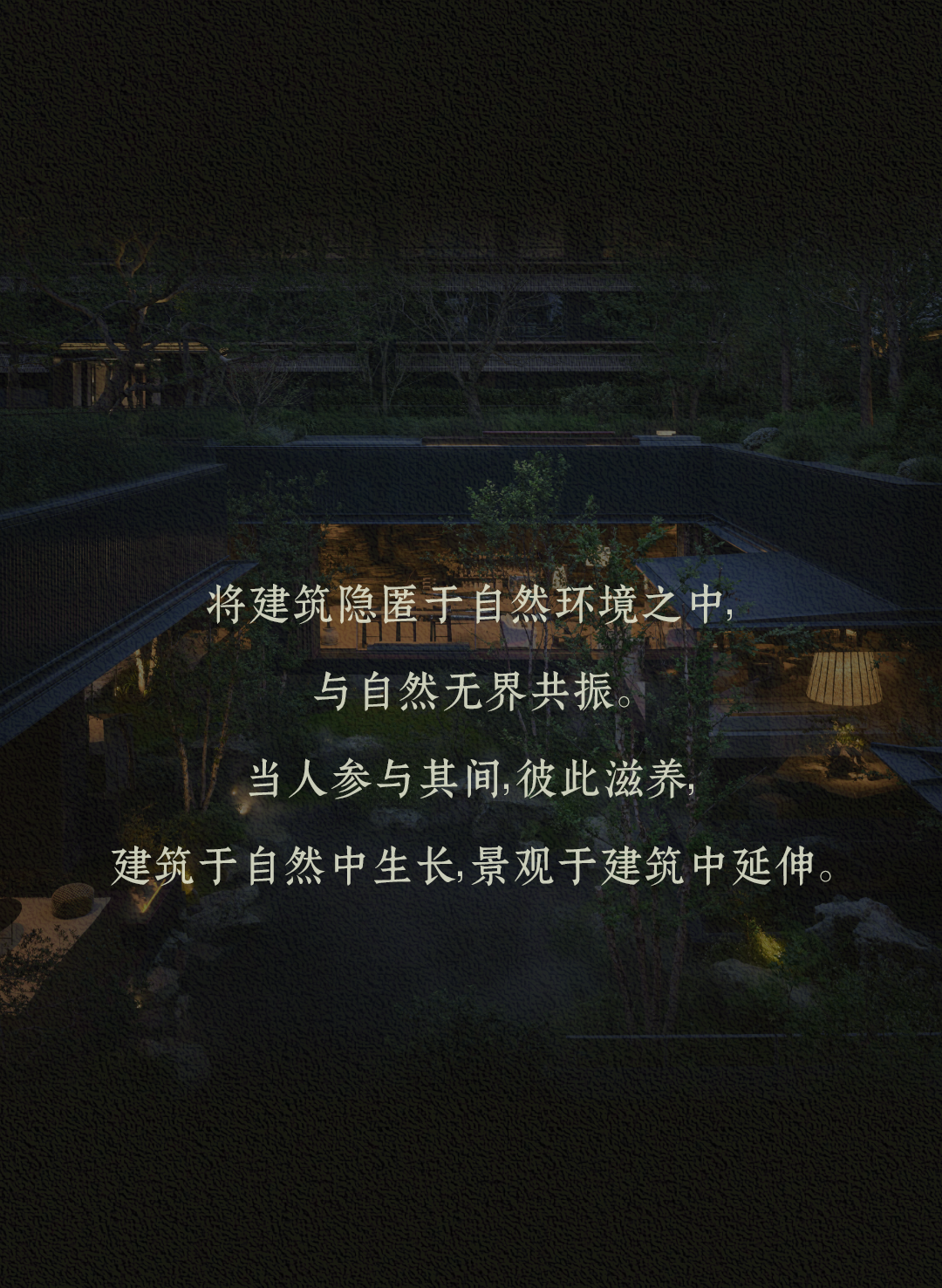 新作 自然之下的无界洄游丨紫香舸-2