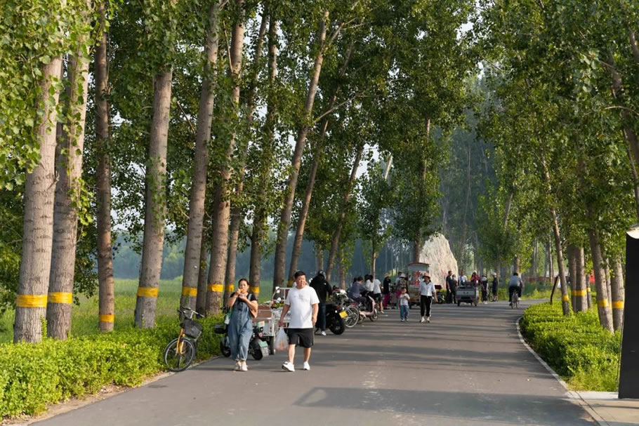 雄安白洋淀水岸公园景观设计丨TLS景观设计事务所-46