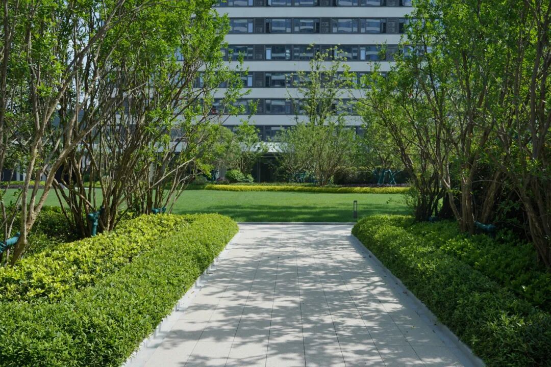 东篱匠造|中联智慧产业城宿舍楼景观工程亮相-38