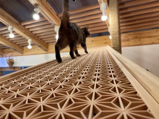 住吉山手の家（犬と猫と音楽の家）丨日本兵库丨ファウナ・プラス・デザイン一級建築士事務所-40