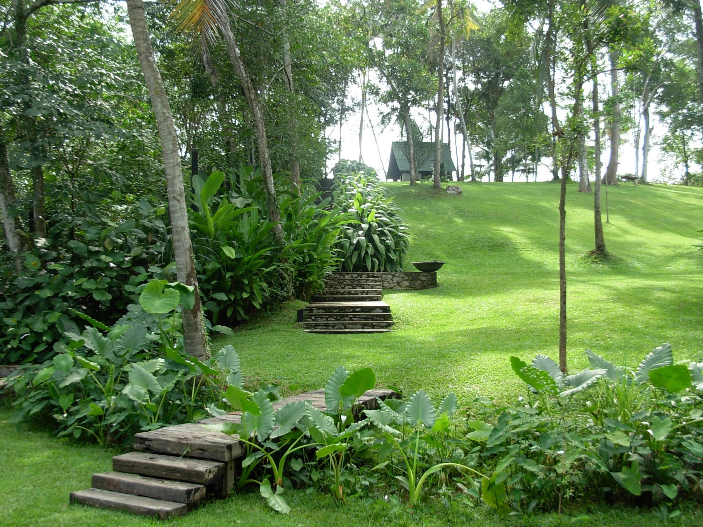 斯里兰卡“荆棘”庄园-29