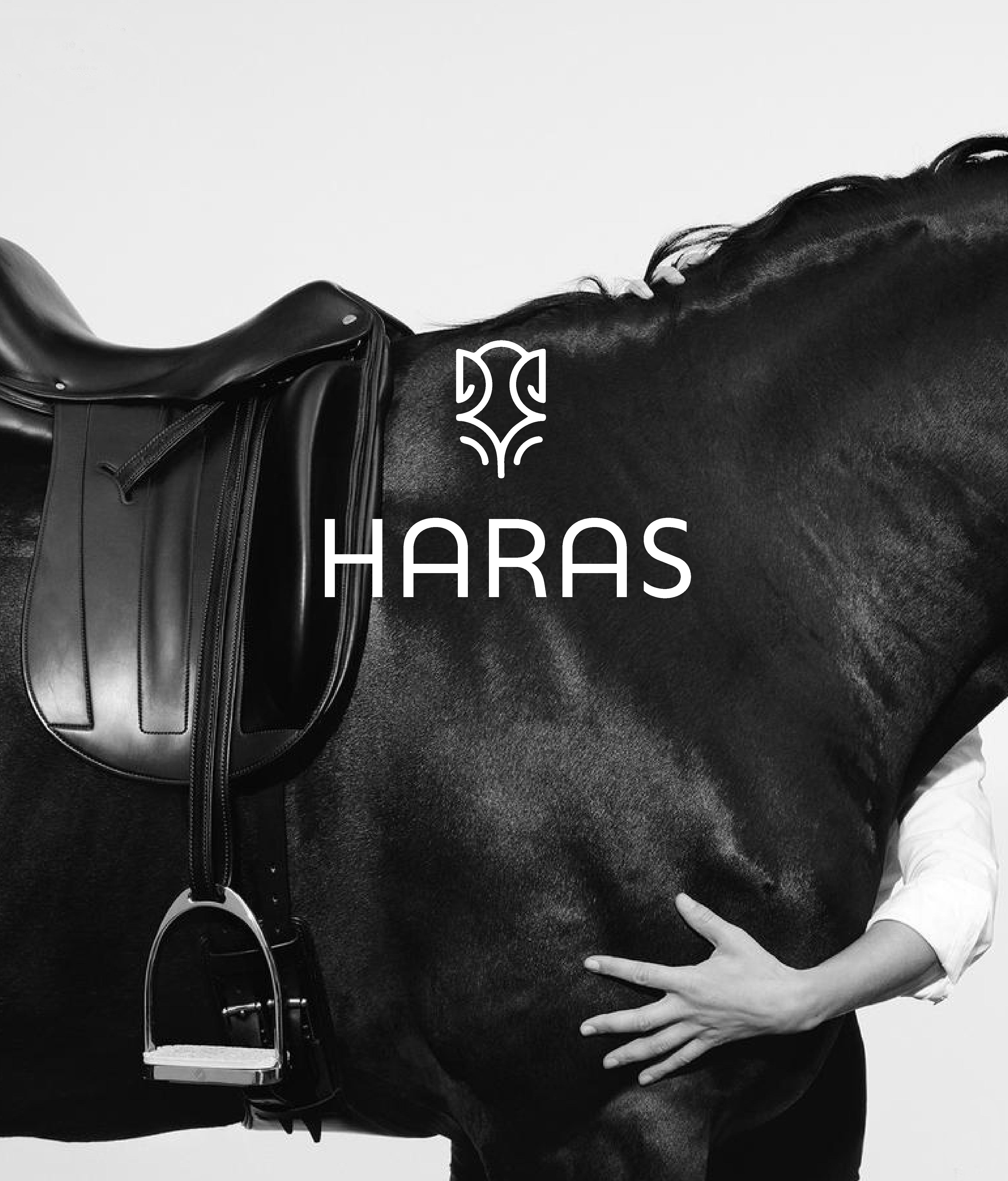 HARAS | Identidade Visual-5