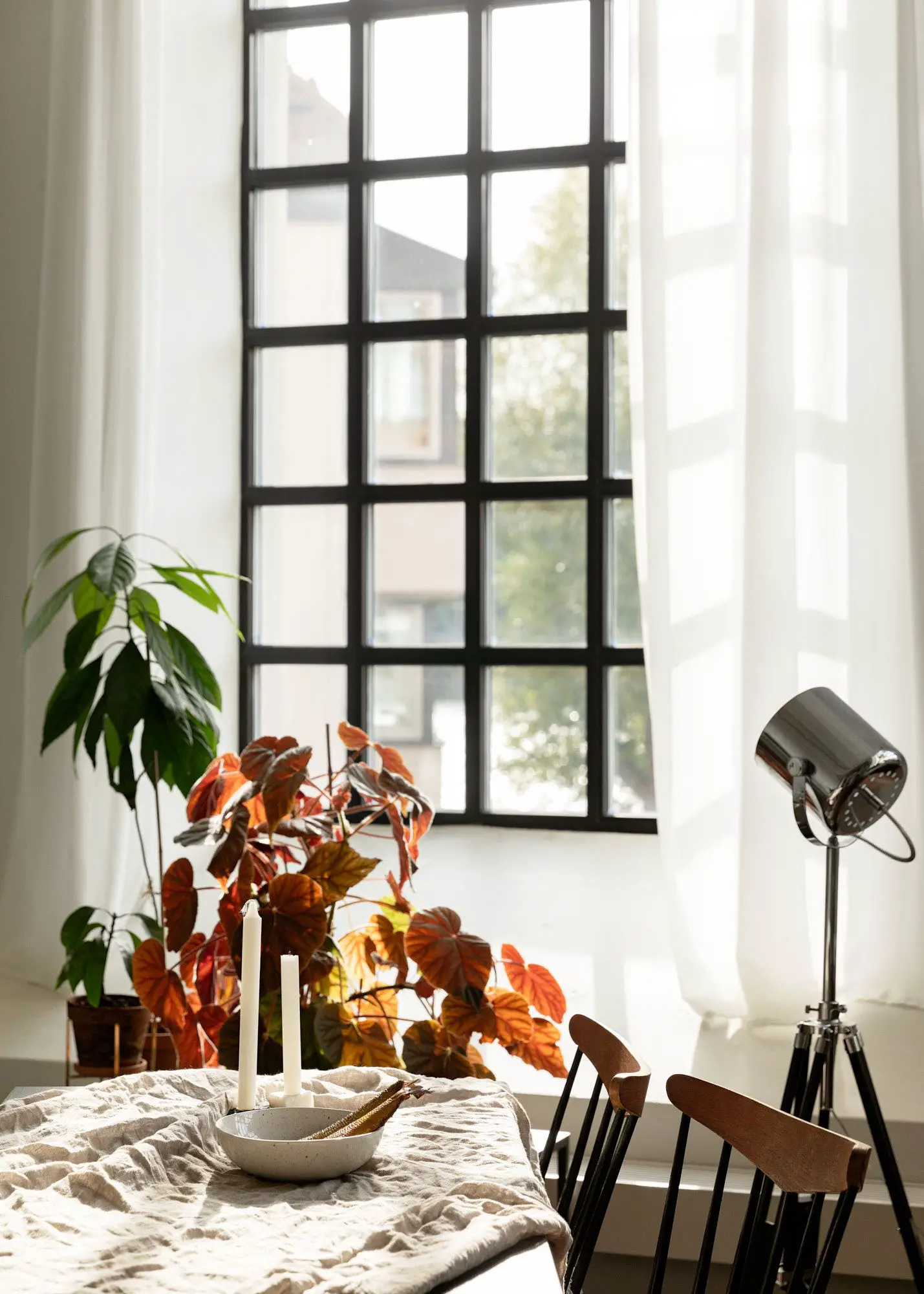 百年旧工厂的绿色冬园公寓-5