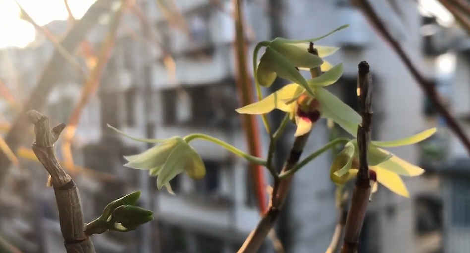 追求平衡的设计师陈宜 | 让空间有思想、生活有味道-22